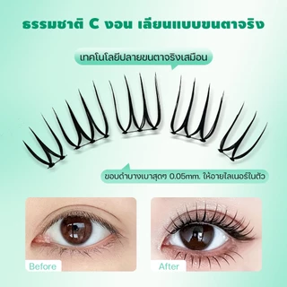 Dreehalo ซีรีส์ไอดอลลุคทุกวันขนตาสไตล์ไอดอล ลุคเด่นแบบไอดอล ตาคม มีพลัง F292