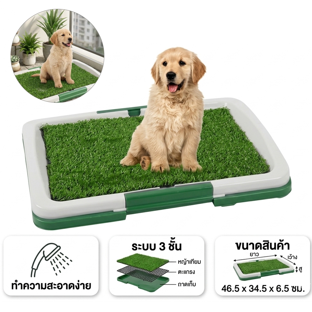 กระบะขับถ่ายสัตว์เลี้ยง แผ่นหญ้าเทียม 3 ชั้น ถอดล้างได้ ขนาด 46.5x34.5 ซม. ฝึกนิสัยขับถ่ายสำหรับสุนัขเล็ก-กลาง