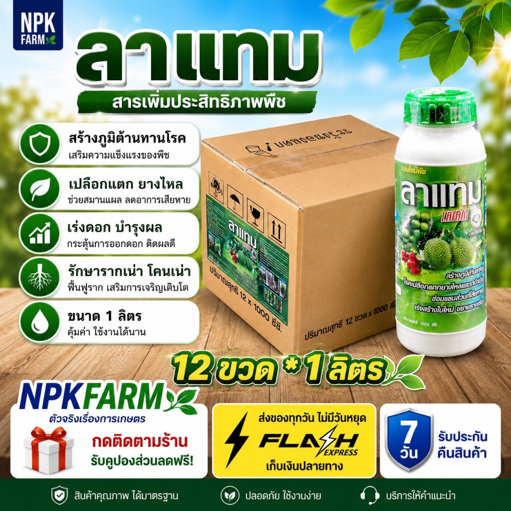 [ ยกลัง ] กัปตัน ลาแทม ขนาด 1 ลิตร เอนไซม์พืช สร้างภูมิต้านทาน ไฟท็อปเทอร่า เปลือกแตก ยางไหลดี
