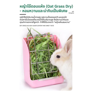 PETLUSCI หญ้าโอ้ตอบลมร้อน Oat Hay 250g คัดเกรดพรีเมี่ยม ใบเยอะ หอมเขียวนุ่มแสนอร่อยมีวิตามินเอสูง
