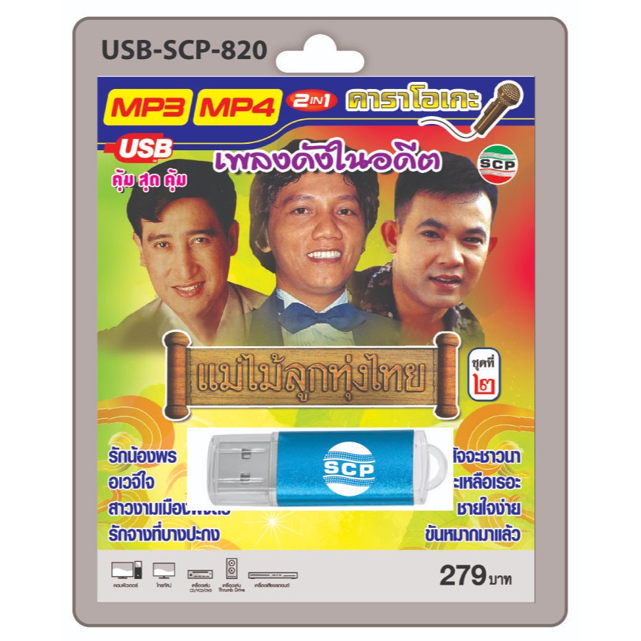 niidz (820) USB flashdrive karaoke เพลงดังในอดีต แม่ไม้ลูกทุ่งไทย ชุด2