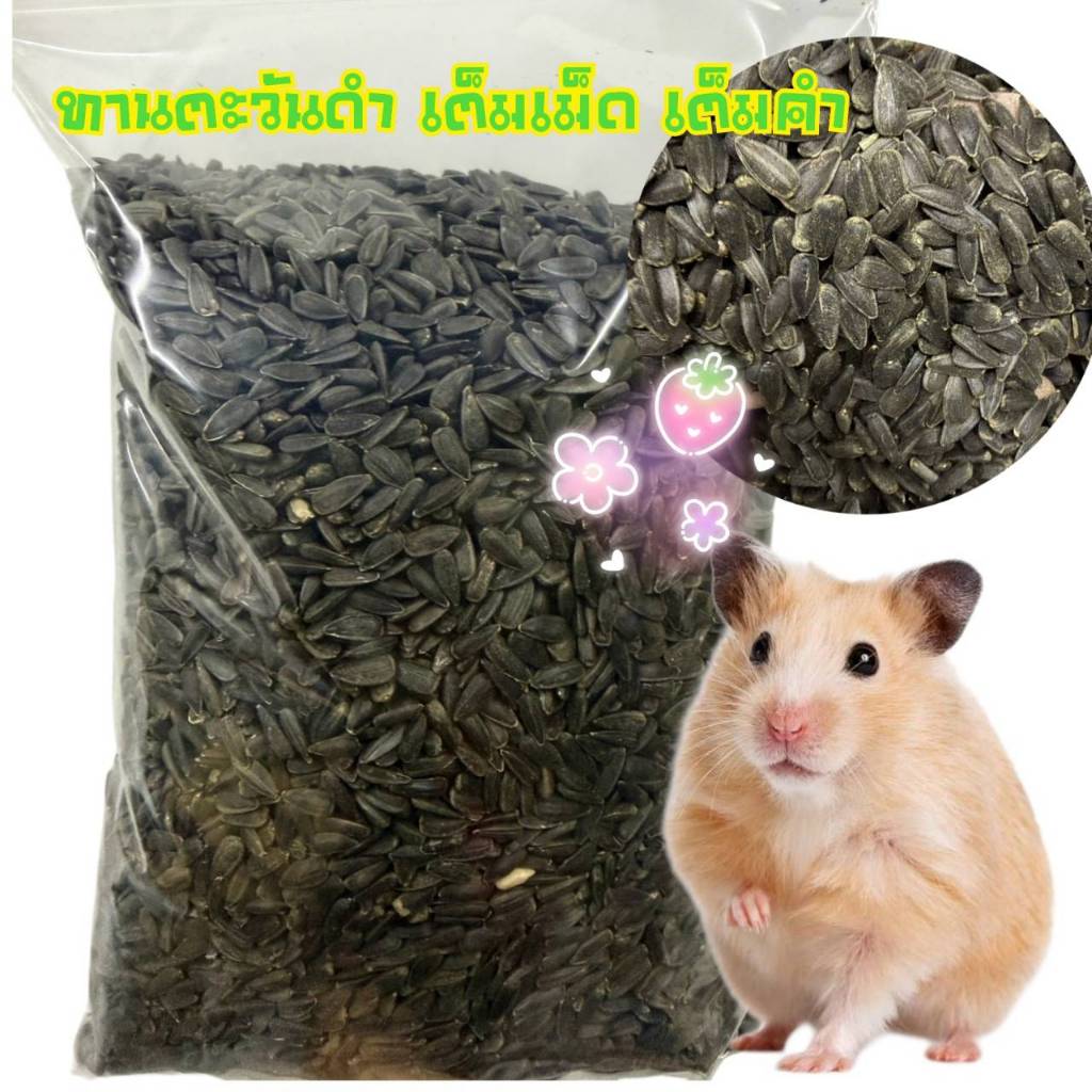 ทานตะวันดำ 1 กิโลกรัม เต็มเม็ดเต็มคำ ส่งตรงจากไร่ จัดส่งทุกวัน ร้านstsarlight