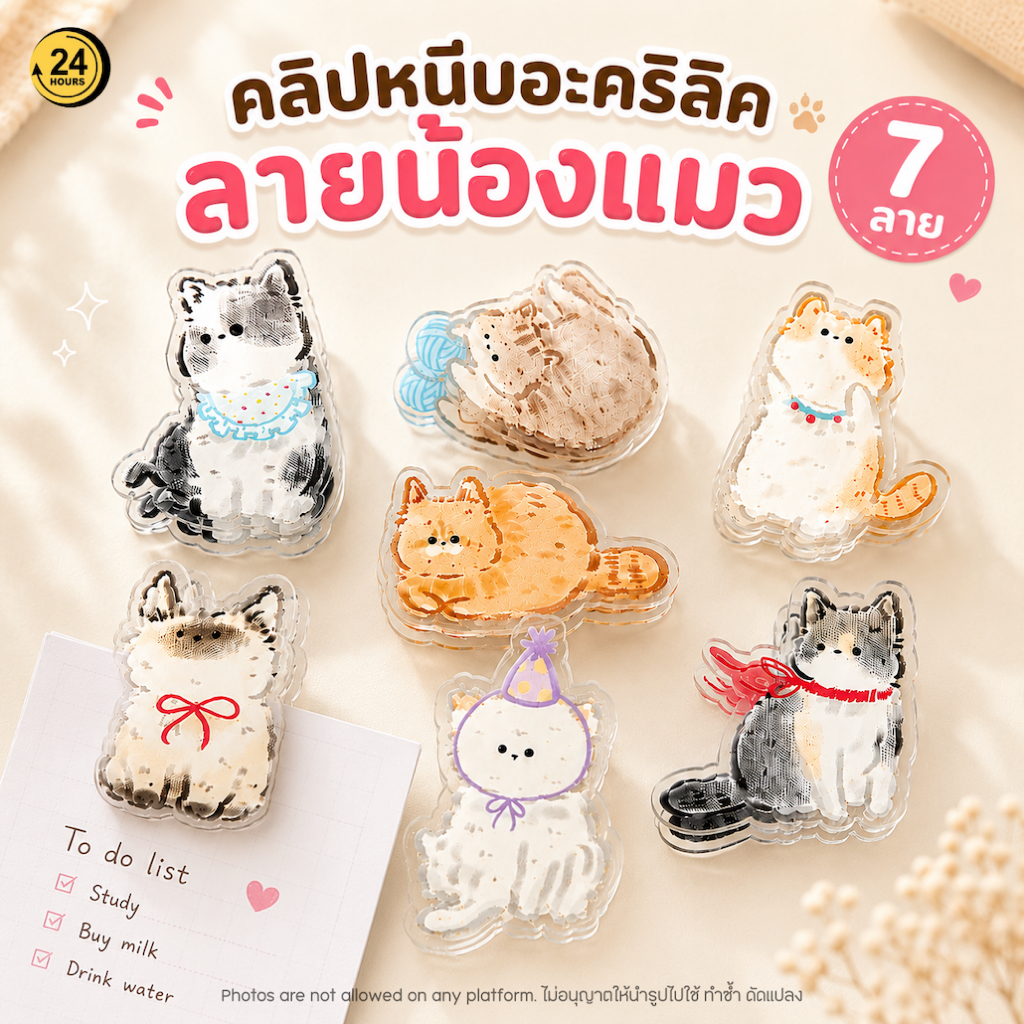 คลิปหนีบกระดาษ ลายน้องแมว Cat clip อะคริลิคใส คลิปหนีบโน้ต ของใช้โต๊ะทำงานน่ารัก