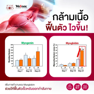 [1 กระปุก] Jennie Moon Official | Pure Collagen PO-OG Dipeptide เจนนี่ มูน คอลลาเจน พรีเมียม แท้จากญี่ปุ่น