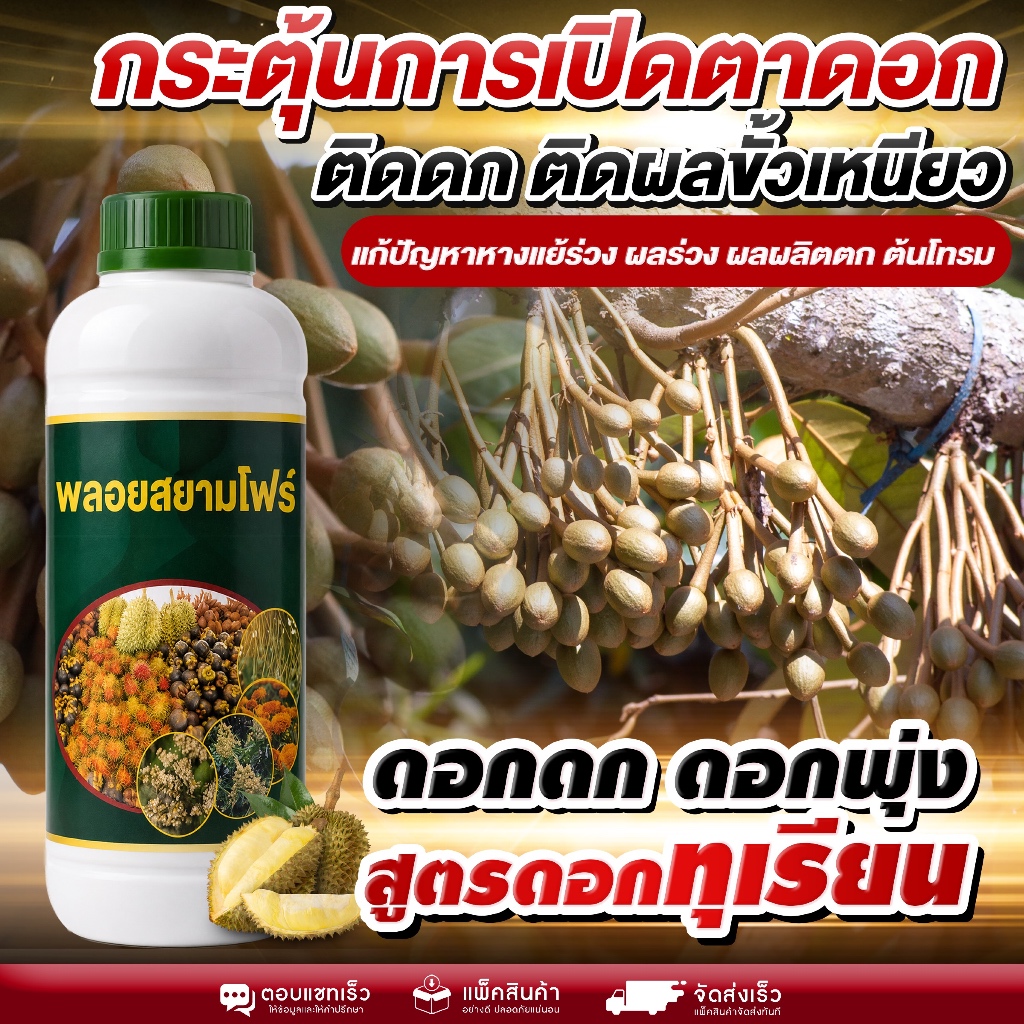 กระตุ้นตาดอกทุเรียน ออกดอกไว ติดผลแน่น! ช่วยให้ดอกสมบูรณ์ เกสรแข็งแรง เพิ่มเปอร์เซ็นต์ติดผล ดอกดก ดอกฟู ออกพร้อมกัน