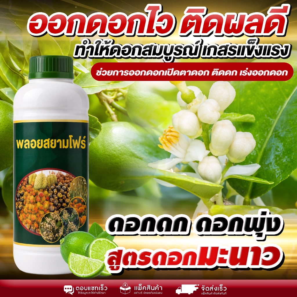 ออกดอกไว ติดผลดี ดอกแน่นทั้งต้น สูตรเร่งดอกมะนาว ช่วยให้ดอกสมบูรณ์ เกสรแข็งแรง ติดลูกง่าย ได้ผลผลิตเต็มที่ เปิดตาดอกไว