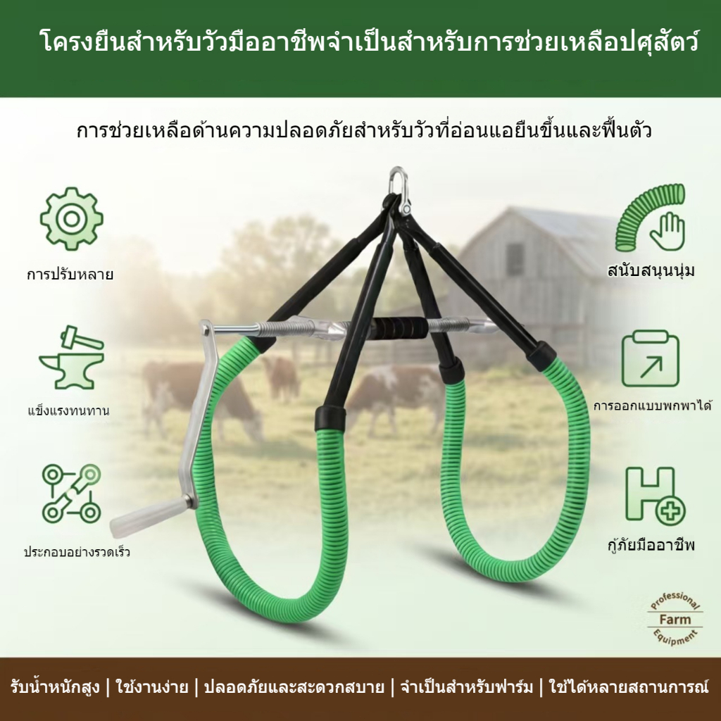 🦄ตัวช่วยยกวัว อุปกรณ์ช่วยพยุงวัวยืน 🦄ชุดอุปกรณ์สำหรับ ตัวช่วยยกสัตว์ขนาดใหญ่โครงใส่ขาตั้งสแตนเลสสำหรับฟาร์มโคนมสามารถออก