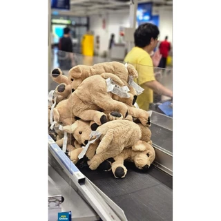 [พร้อมส่ง] ของแท้!!! IKEA ตุ๊กตาหมา GOSIG GOLDEN กูสซิก โกลเด้น สุนัขโกลเด้น ยาว 40 และ 70 ซม.