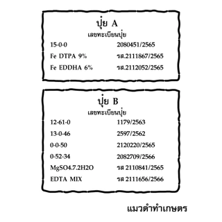 ปุ๋ย AB 10 ลิตร ผักสลัด สูตรพิเศษ (หลังเก็บขายผักยังคงสดเก็บไว้ได้นานขึ้น)