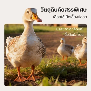 PET LIFE 40G ขาเป็ดนึ่ง ขนมสัตว์เลี้ยง ต้มขาเป็ด โปรตีนสูง ไขมันต่ำ ขนมแมว ขนมสุนัข