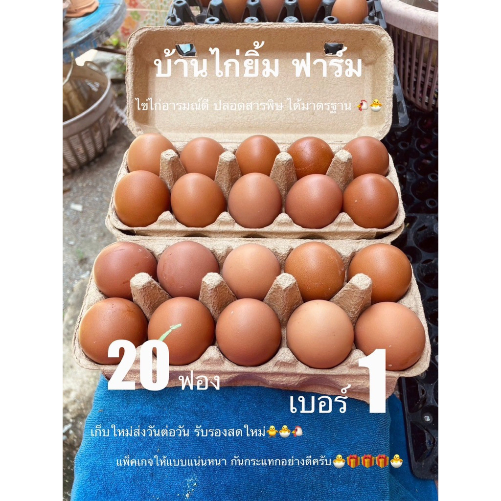 ไข่ไก่ เบอร์1 เลี้ยงเองสดใหม่จากฟาร์ม 20ฟอง ส่งฟรี