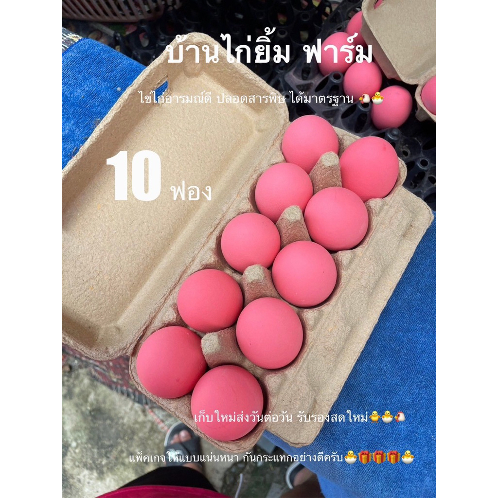 ไข่เยี่ยวม้า ลูกใหญ่ 10ฟอง ส่งฟรี