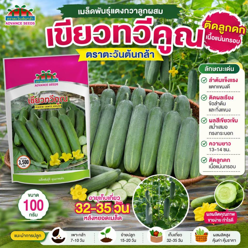 เมล็ดพันธุ์แตงกวาเขียวทวีคูณ (ตราตะวันต้นกล้า) ขนาด 100 กรัม
