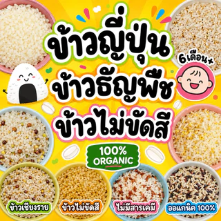 รวมข้าวออแกนิค 100% สำหรับเด็ก 6 เดือนขึ้นไป ข้าวจังหวัดเชียงราย