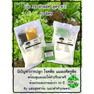 ปุ๋ย AB 10 ลิตร ผักสลัด สูตรพิเศษ (หลังเก็บขายผักยังคงสดเก็บไว้ได้นานขึ้น)