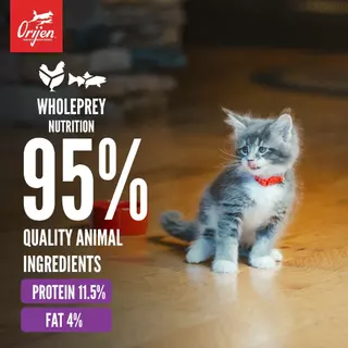 ORIJEN Chunks&Shreds อาหารเปียกลูกแมวแบบกระป๋อง (แพ็ค 12 กระป๋อง) Chicken&Tuna Kitten ในน้ำซุปกระดูกเข้มข้น 85g
