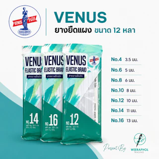 Venus ยางยืดวีนัส ยางยืดทำแมส ยางแผง ขนาด 12 หลา (สามารถออกใบกำกับภาษีได้)