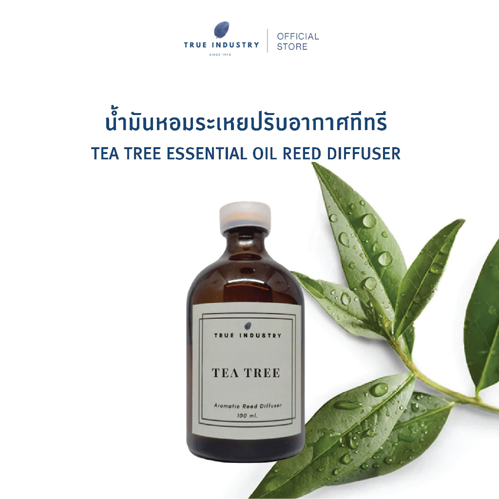น้ำมันหอมระเหยที ทรี สำหรับปรับอากาศ (Tea Tree Essential Oil Reed Diffuser) แถมฟรี ไม้หวาย 8 ก้าน