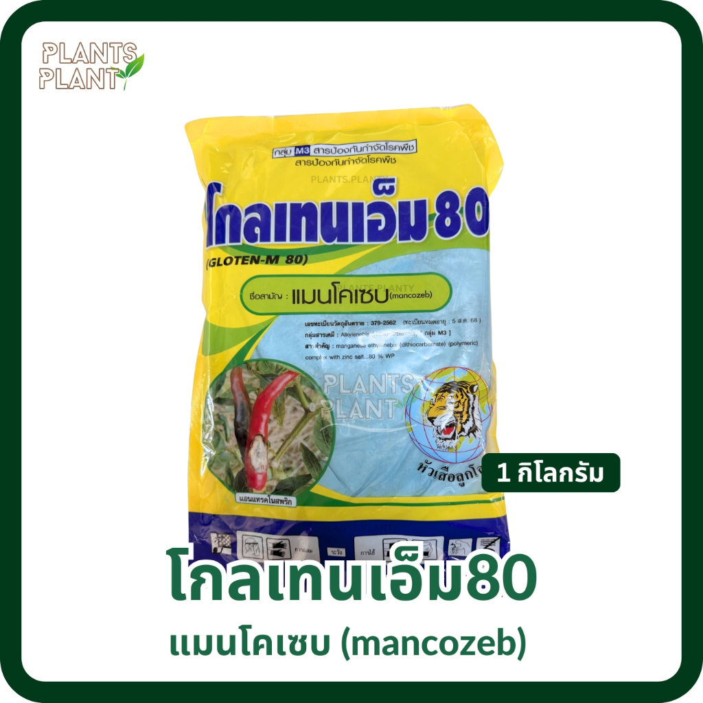 โกลเทนเอ็ม80 (1ล.) แมนโคเซบ mancozeb 80%WP ป้องกันกําจัดโรคพืช โรคกาบใบแห้ง กาบใบเน่า ใบจุด รากเน่า