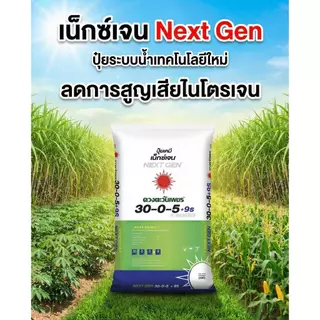 (ยกกระสอบ25kg) 30-0-5+9S ปุ๋ยคอมปาวด์ซัลเฟต ปุ๋ย3ระบบ เร่งต้น เร่งการแตกยอด #ดวงตะวันเพชร