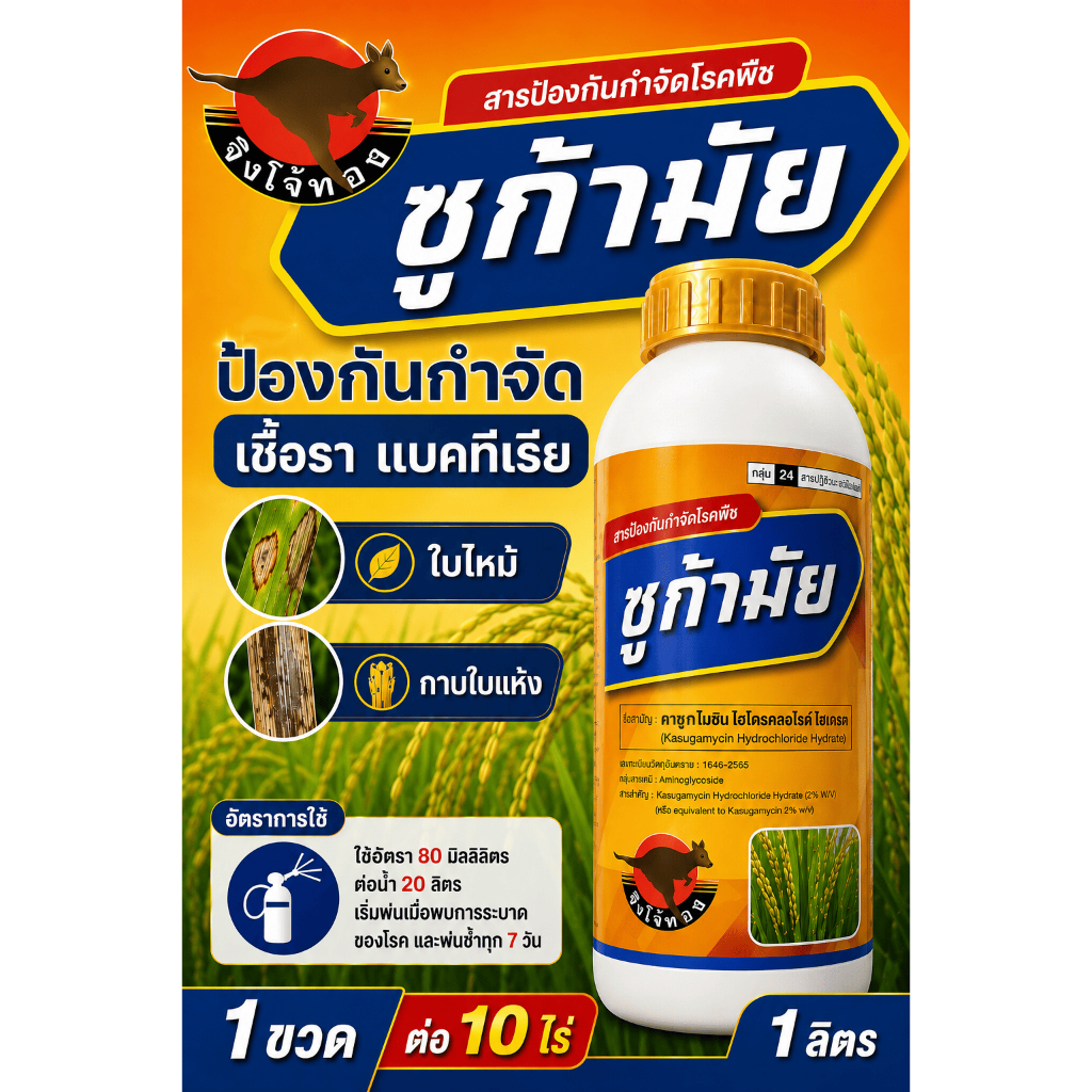 ส่งไว คาซูก้าไมซินไฮโดรคลอไรด์ไฮเดรด 1 ลิตร ป้องกัน กำจัดโรคเชื้อรา แบคทีเรีย ขอบใบแห้ง ใบติดทุเรียน นาข้าว