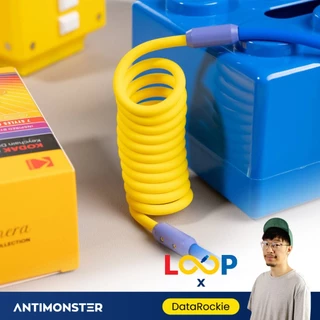 สายชาร์จ LOOP Collab /02 DataRockie 240W Type-C Fast Charging