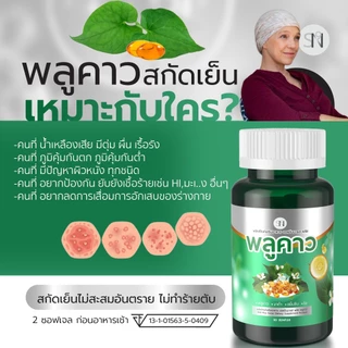 Mall-[ตะกล้าบริษัท] SN9พลูคาวสกัดเย็น พลูคาว คาวตอง SN9 Plus Plu kaow แบรนด์SN9