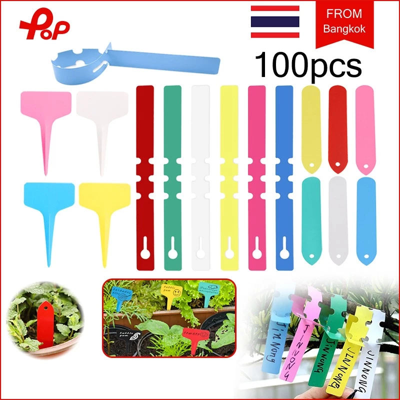 100 ชิ้น ป้ายชื่อต้นไม้แบบแขวน ป้ายชื่อโรงงาน ป้ายติดป้ายเนอสเซอรี่กันน้ำแบบพลาสติก แท็กติดต้นไม้ ป้ายต้นไม้เกี่ยวกิ่ง