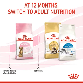 Royal Canin Kitten Sterilised อาหารแมว โรยัล คานิน ลูกแมว แมวเด็ก ทำหมัน ไขมันต่ำ อายุ 6 - 12 เดือน ขนาด 2kg
