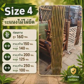 รั้วระแนงไม้ไผ่ยืด ปรับขนาดได้ตามต้องการ มีให้เลือกหลายขนาด ดูรายละเอียดขนาดก่อนสั่งซื้อ