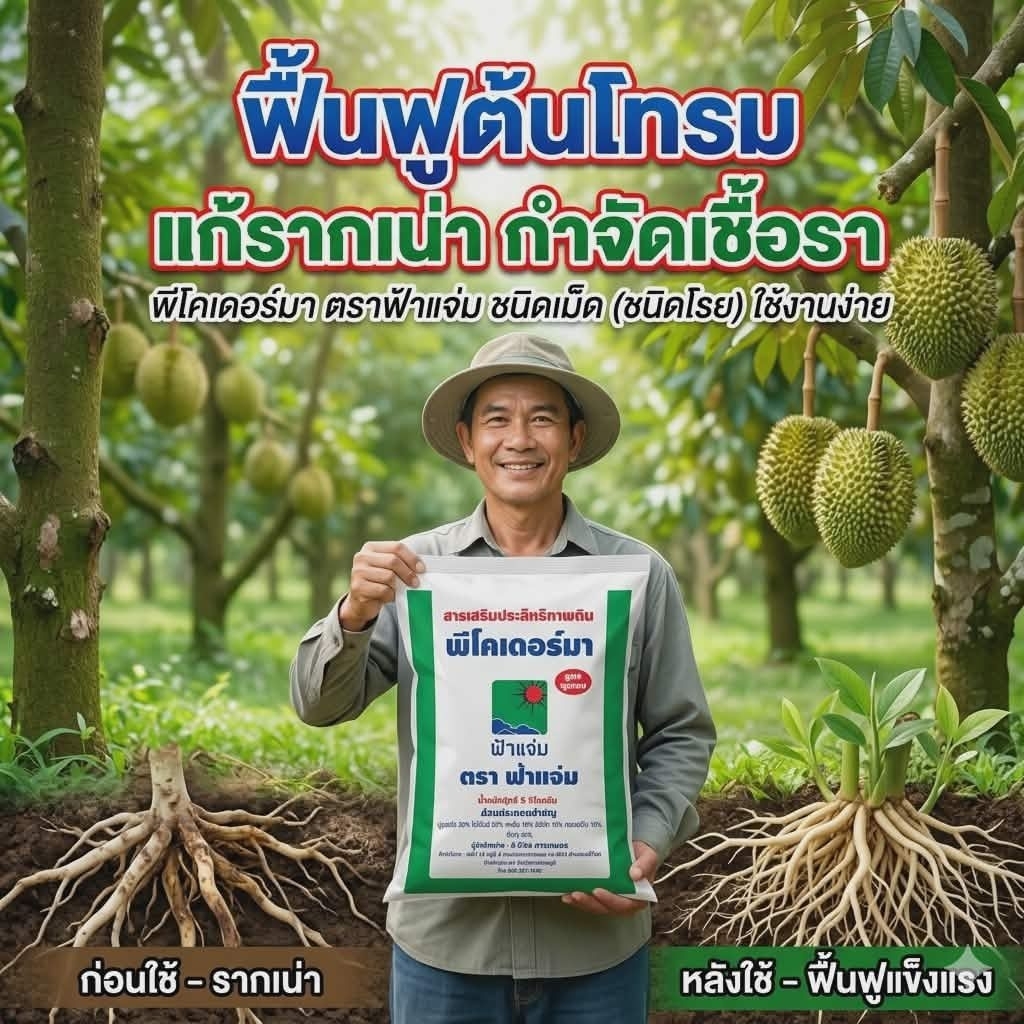 พีโคเดอร์มา ไตรโคเดอร์มาอัดเม็ด ตราฟ้าแจ่ม (ถุงละ 5 กิโลกรัม จำนวน 1 ถุง) ใช้ป้องกัน รักษาเชื้อราโรคพืชทางดิน