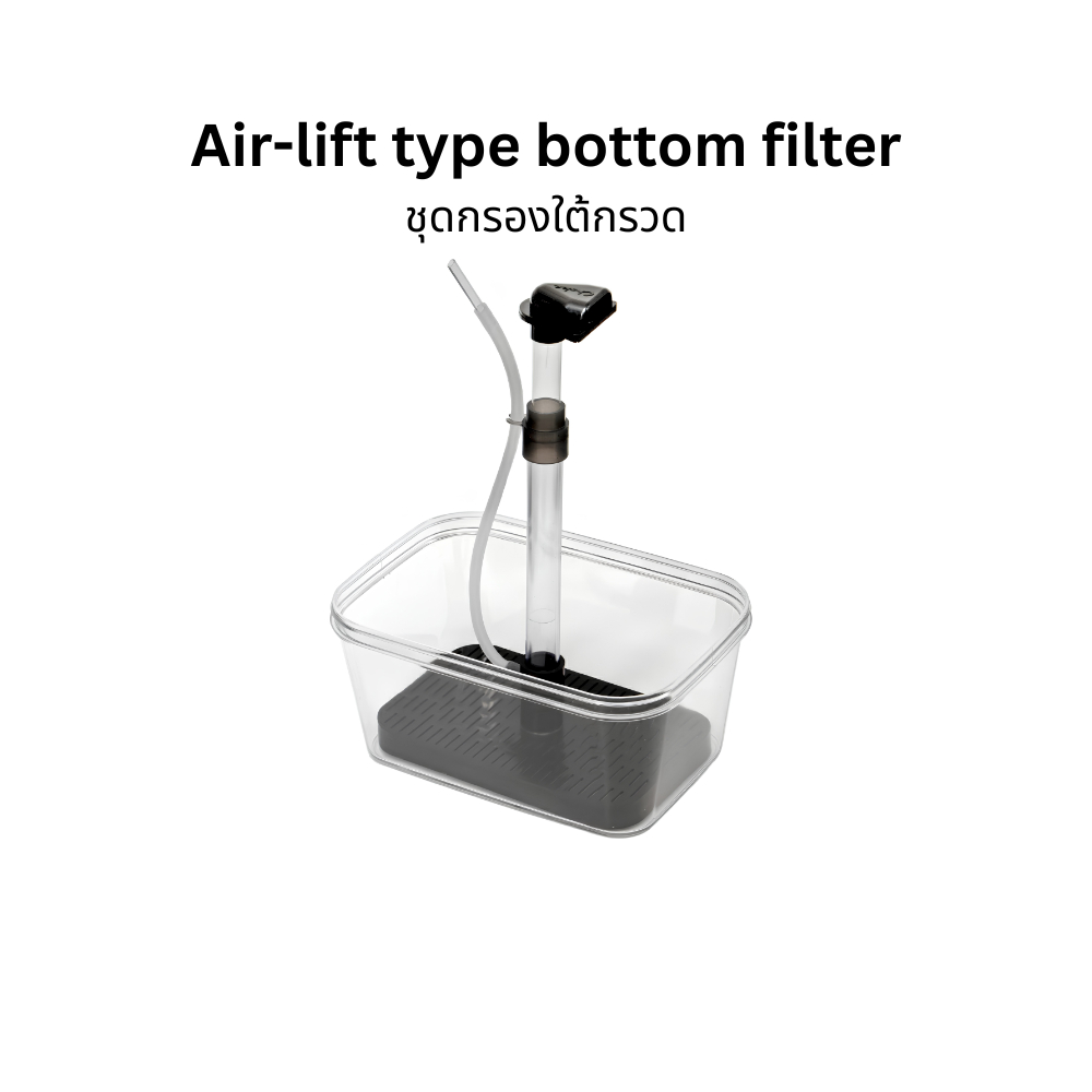 F.Cube Plus ระบบกรองใต้กรวดใต้พื้นแบบ Air-Lift รองรับการใช้งานร่วมกับดินปลูก ฟองน้ำ แผ่นกรอง และวัสดุกรองต่างๆ
