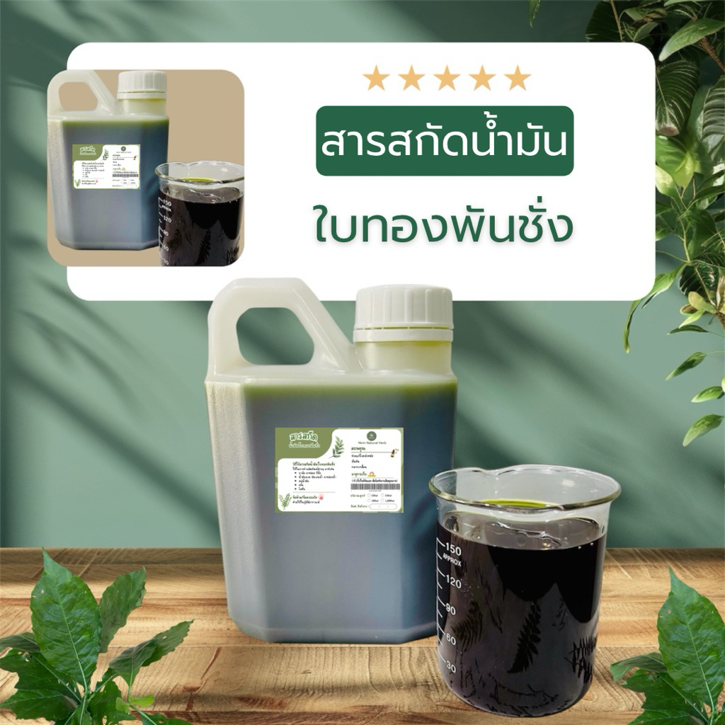 สารสกัดน้ำมันใบทองพันชั่งสด