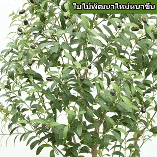 🌿พร้อมส่งจากไทย🌿 ต้นมะกอกปลอม ต้นไม้ปลอม ต้นไม้ปลอมใหญ่ ความจำลอง 99% สำหรับตกแต่งบ้านและสว