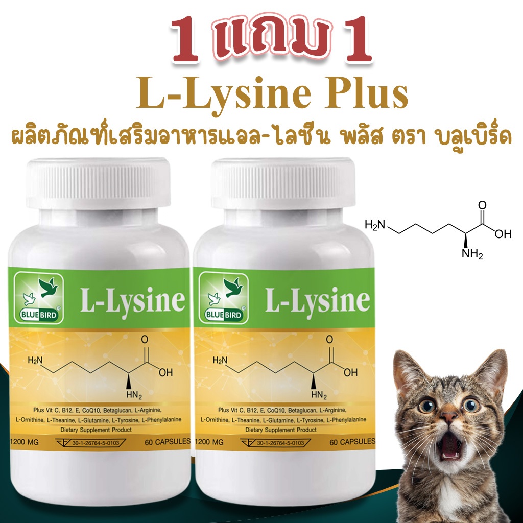 [1แถม1] L-Lysine Plus แอล-ไลซีน พลัส ตรา บลูเบิร์ด 1200 มก 60 แคปซูล