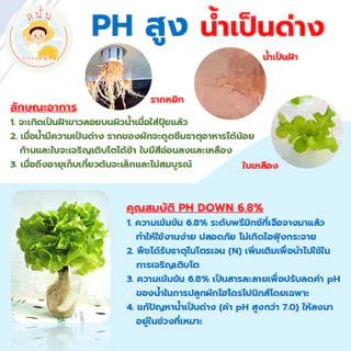 PH DOWN ขนาด 1 ลิตร ใช้ลดค่า PH แก้ปัญหาน้ำเป็นด่างสำหรับผักไฮโดรโปนิกส์ ผักดูดซึมธาตุอาหารได้ดีขึ้น