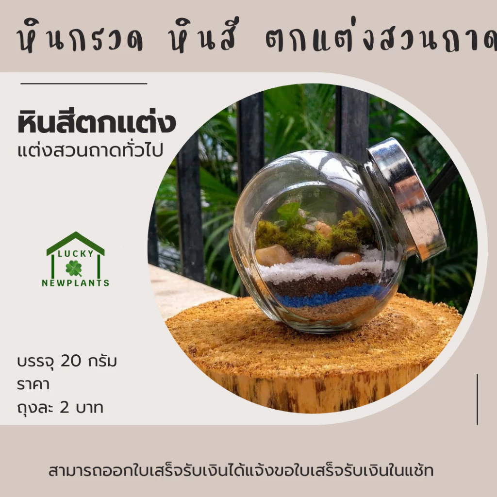 หินสี หินกรวด ตกแต่งตู้ปลา ตกแต่งสวนจิ๋ว 2 บาท คละสี หากต้องการระบุสีทักแช้ท thumbnail 6