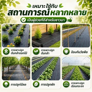 【ของแท้】AAAอัพเกรดหนา2ชั้น ผ้าคลุมหญ้า พลาสติกคลุมดิน พลาสติกคลุมหญ้า