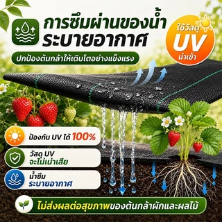 【ของแท้】AAAอัพเกรดหนา2ชั้น ผ้าคลุมหญ้า พลาสติกคลุมดิน พลาสติกคลุมหญ้า