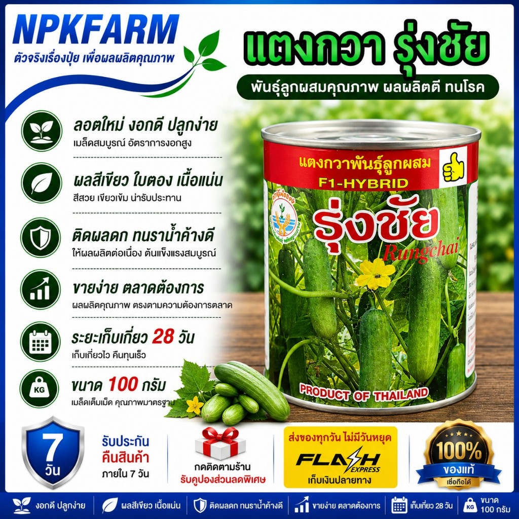 แตงกวา รุ่งชัย ขนาด 100 กรัม หมดอายุ 02/2570 ลอตใหม่ งอกดี ขายง่าย ผลสีเขียวใบตอง เนื้อแน่นน้ำหนักดี