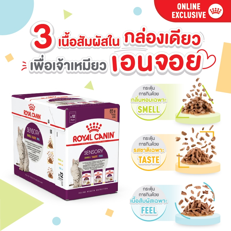 Royal Canin Sensory เป็นอาหารเปียกสำหรับแมวโต (อายุ 1 ปีขึ้นไป) รวมรส Smell , Feel , Taste 3 แบบ