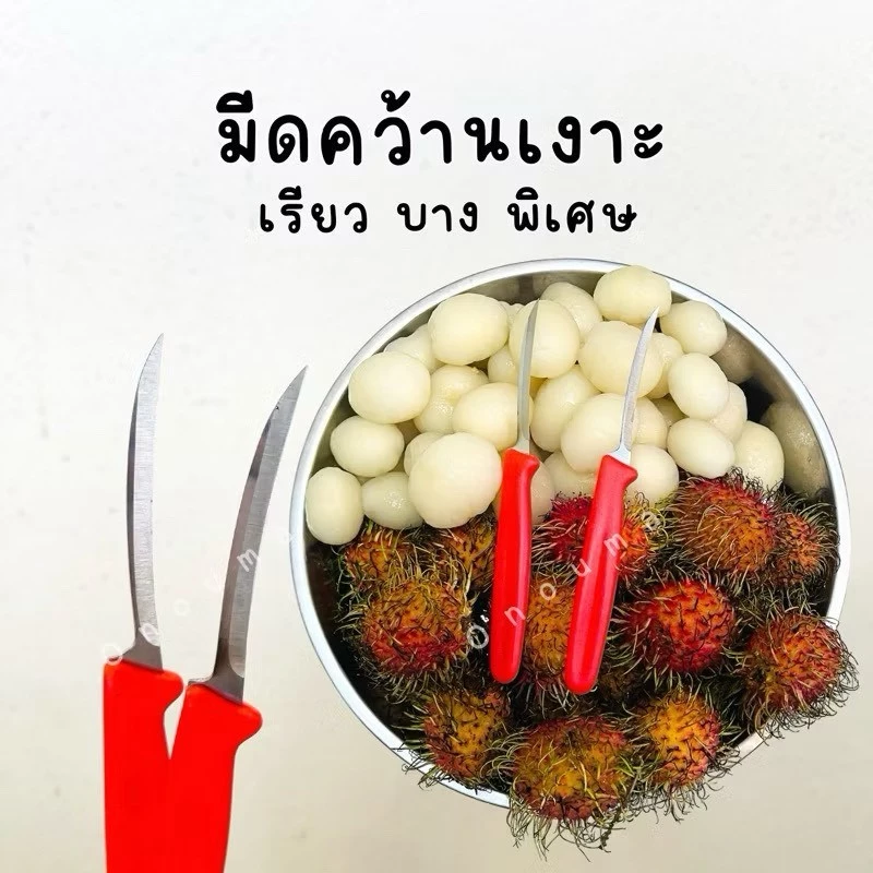 มีดคว้านเงาะ คว้านมะยงชิด แบบเจียเรียว