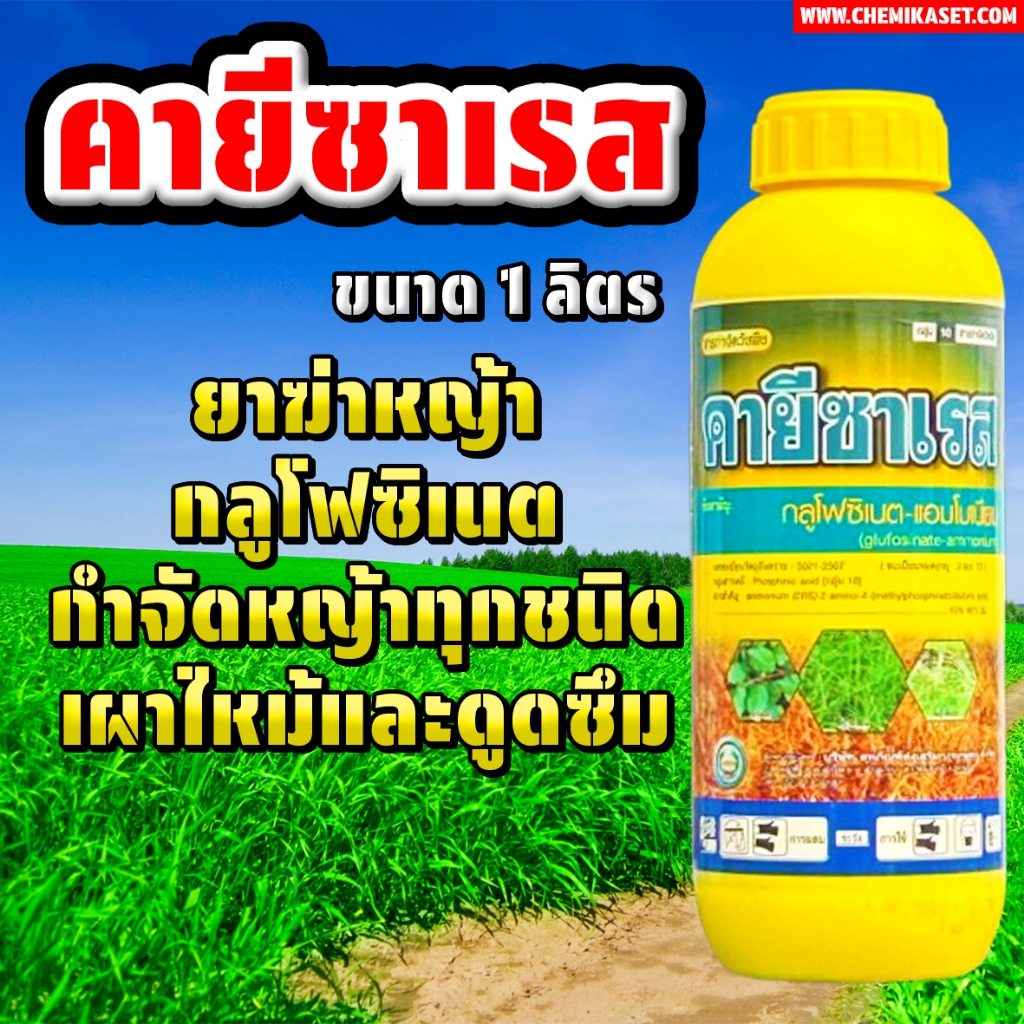 คายีซาเรส ขนาด 1 ลิตร กลูโฟซิเนต ตรา หวีทอง กำจัดหญ้าทุกประเภท ของแท้ ส่งเร็ว