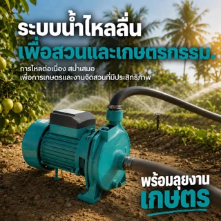 REAIM ปั๊มหอยโข่ง 1250W มน้ำหอยโข่ง 1นิ้ว ปั๊มน้ำ ปั๊มไฟฟ้า ปั้มน้ำแรงดัน ใบพัดทองเหลือง