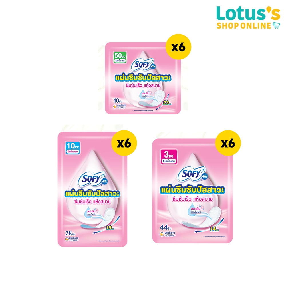 [ทั้งหมด 6 แพ็ค] โซฟี แอล แผ่นอนามัยซึมซับปัสสาวะ แบบไม่มีน้ำหอม SOFY AILE NAPKIN INCONTINENCE
