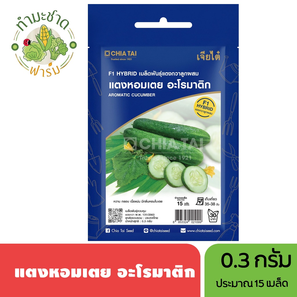 เจียไต๋ (Easy) เมล็ดพันธุ์ แตงเตยหอม ขนาด0.3กรัม ประมาณ15เมล็ด Aromatic Cucumer แตงกวา เมล็ดพันธุ์พืช เมล็ดผัก ปลูกผักสว