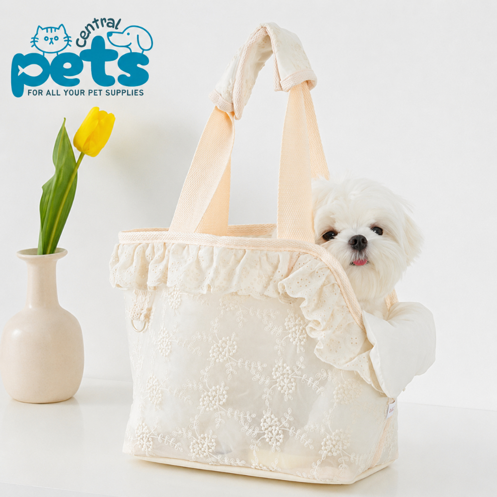 【ลดเหลือ 349】Onecute กระเป๋าสัตว์เลี้ยง มินิมอล ใส่สุนัขแมว พกพาง่าย ระบายอากาศดี Pet Carrier