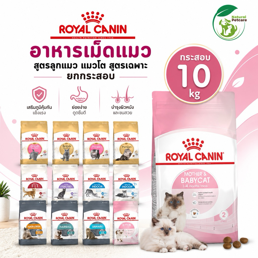 Royal Canin อาหารแมวแท้ สูตรลูกแมว–แมวโต ขนาด 10 กก.