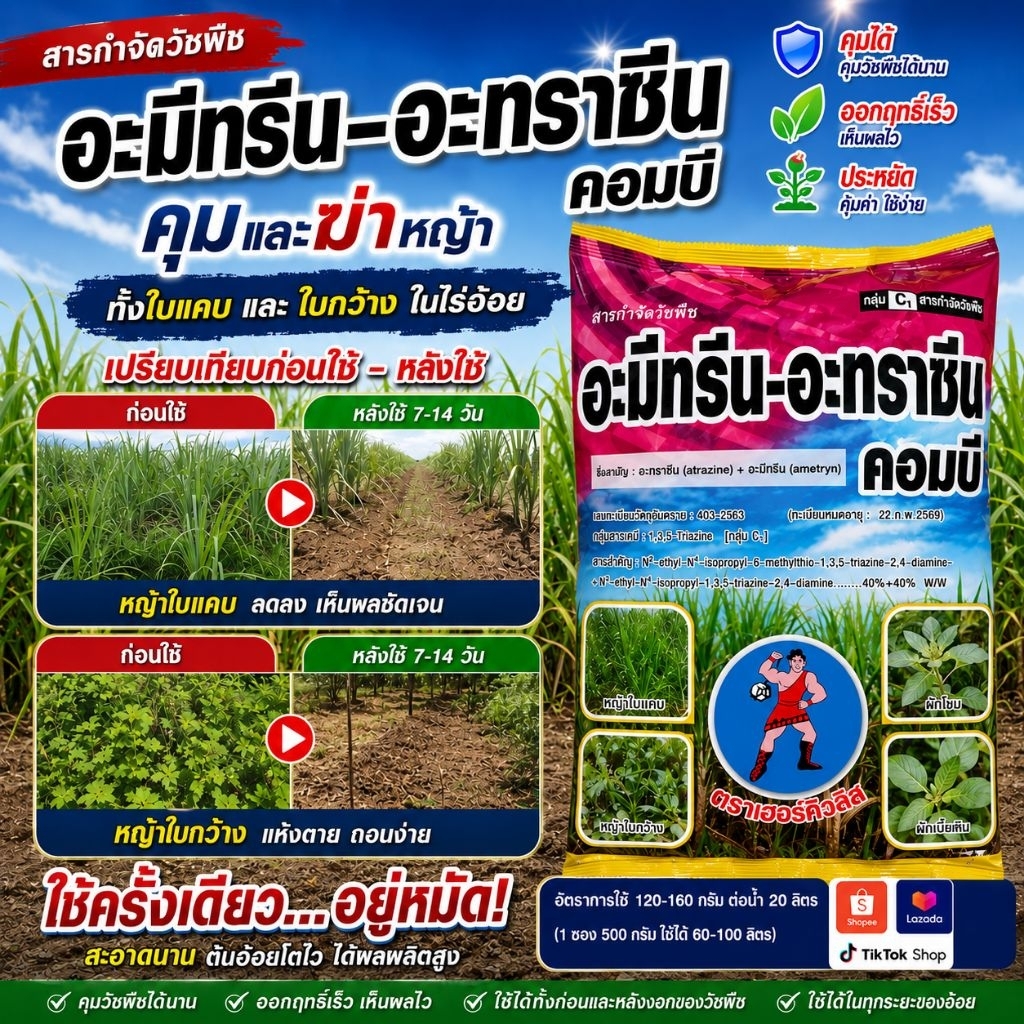 อะมีทรีน-อะทราซีน คอมบี สูตรคุม+ฆ่าครบในถุงเดียวจบปัญหาหญ้าในไร่อ้อยเก่งทั้งหญ้าใบแคบและหญ้าใบกว้างคุมเมล็ดหญ้า