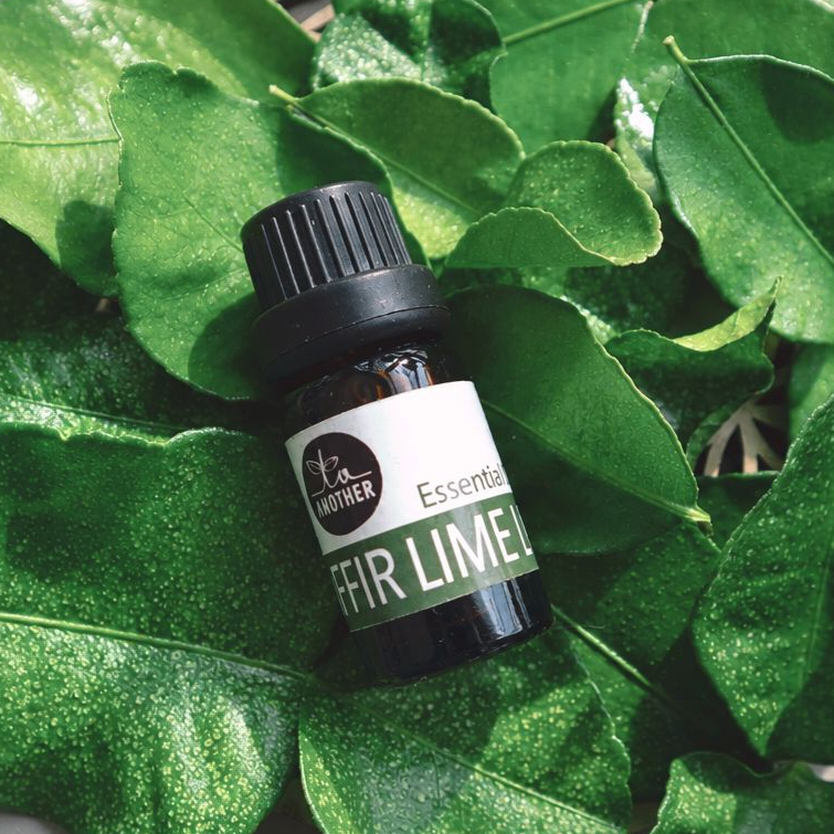 น้ำมันหอมระเหยใบมะกรูดไทย Kaffir Lime Leaves essential oil 100%